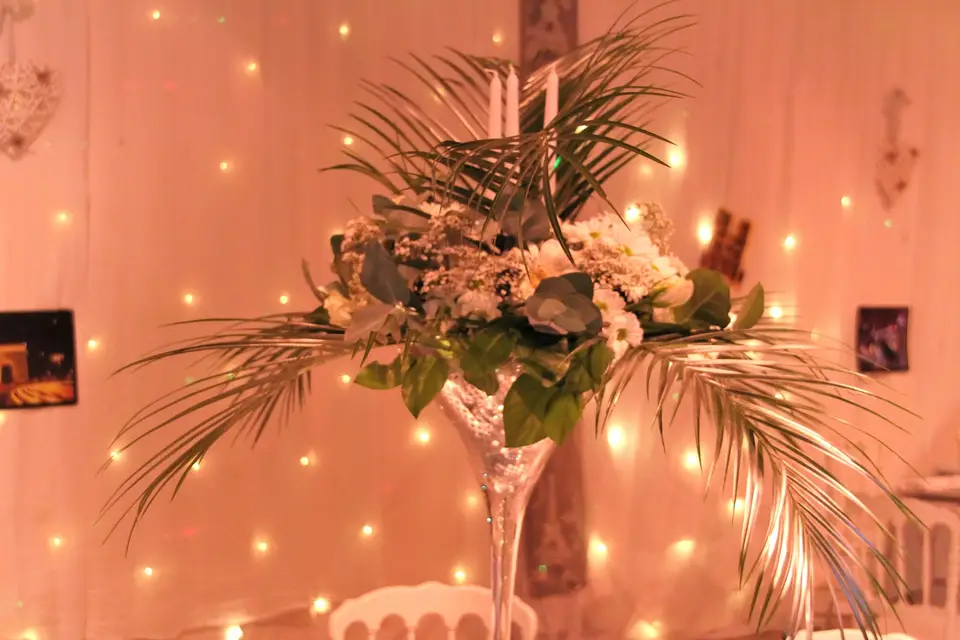 Marion l'a fée — photo 2