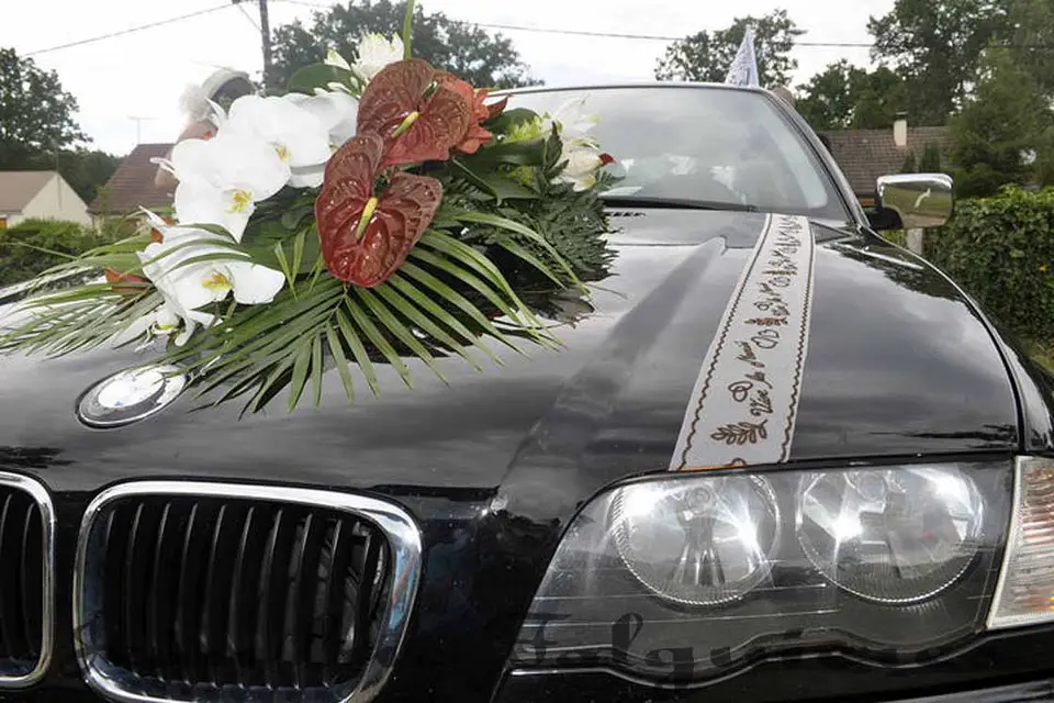 Photolivet — photo 8