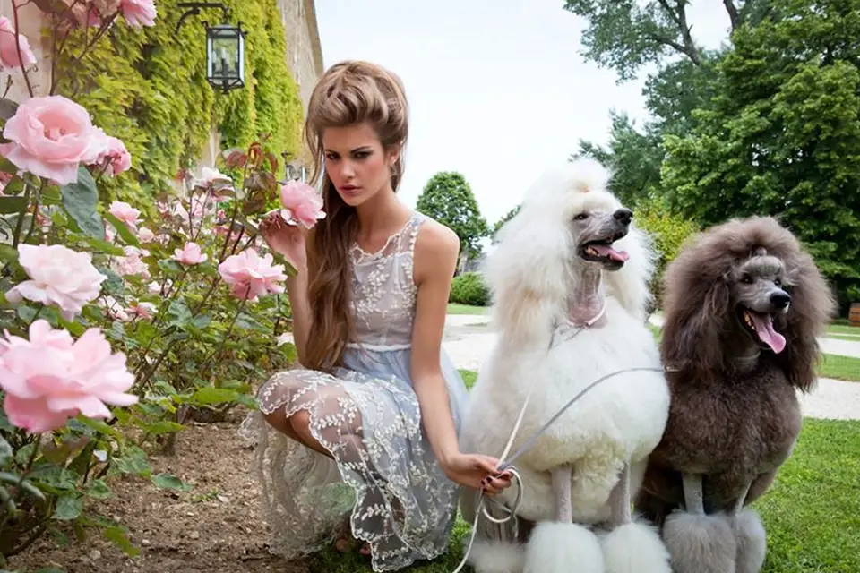 Les petites écharpes