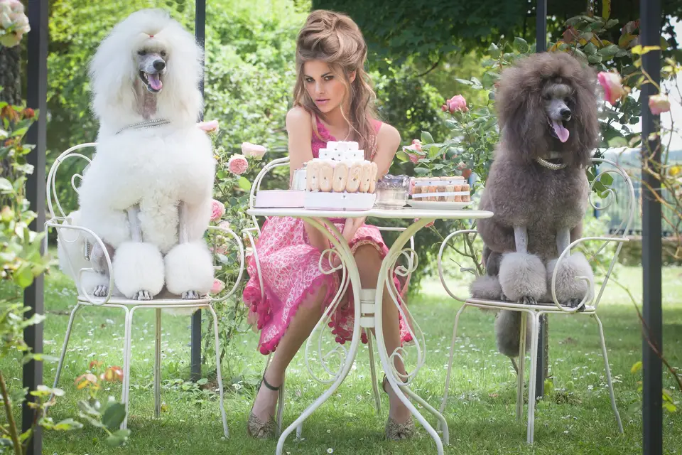 Les petites écharpes — photo 7