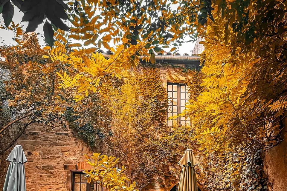 Gaussinel Robin — photo 8