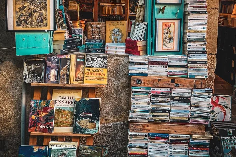 Gaussinel Robin — photo 4