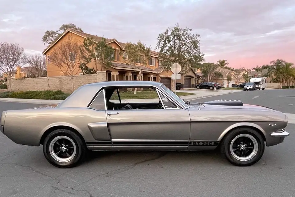 Mustang 66 — photo 6