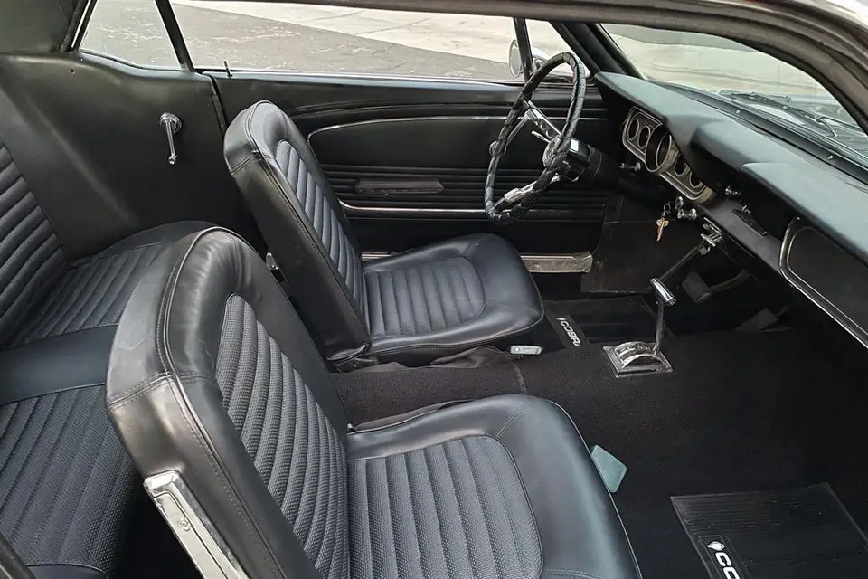 Mustang 66 — photo 5