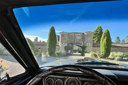 Mustang 66 — photo 3