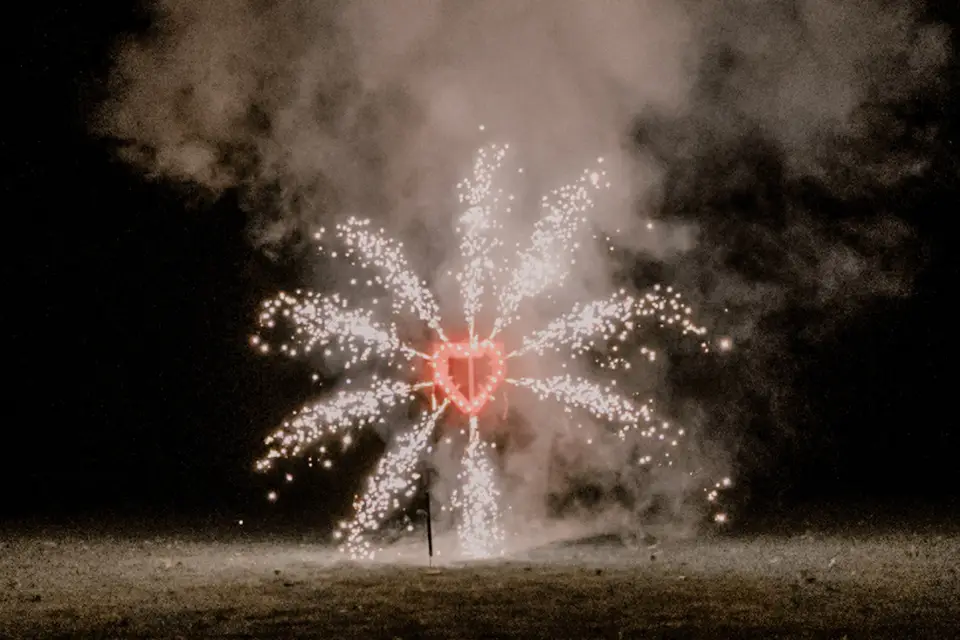 TM Evénements — photo 7