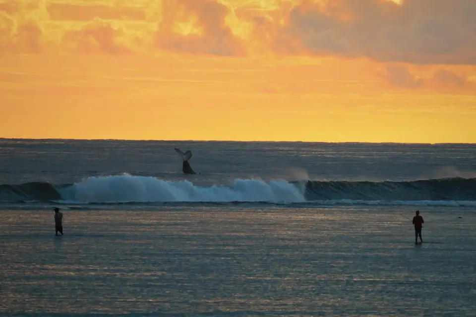 Oussa Voyage Sur Mesure — photo 3