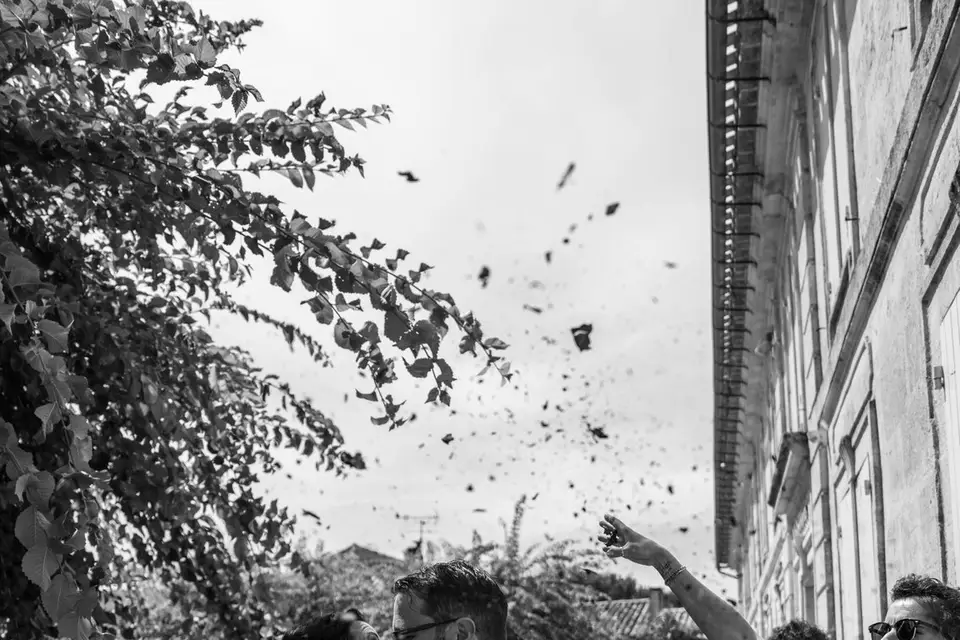 Fayon Luka — photo 4