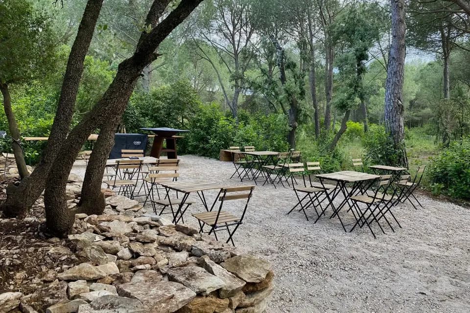 Domaine d'Ambrussum Events — photo 6