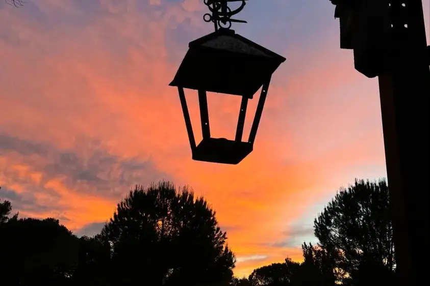 Domaine d'Ambrussum Events — photo 5