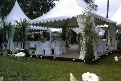 Cantreau Hervé — photo 6