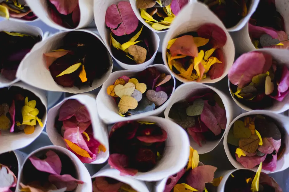 Esperluette Etc. — photo 8