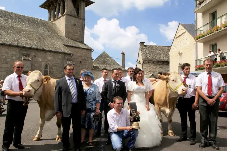 Studio Art Photo — photo 5