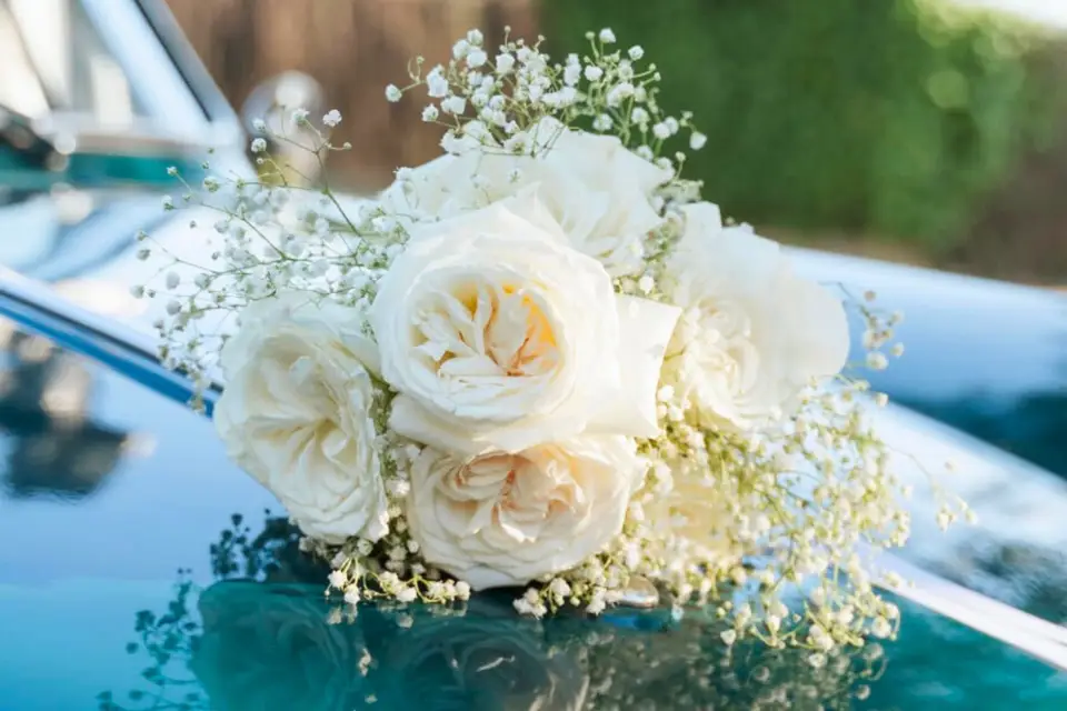 Nice Classic Tours — photo 1