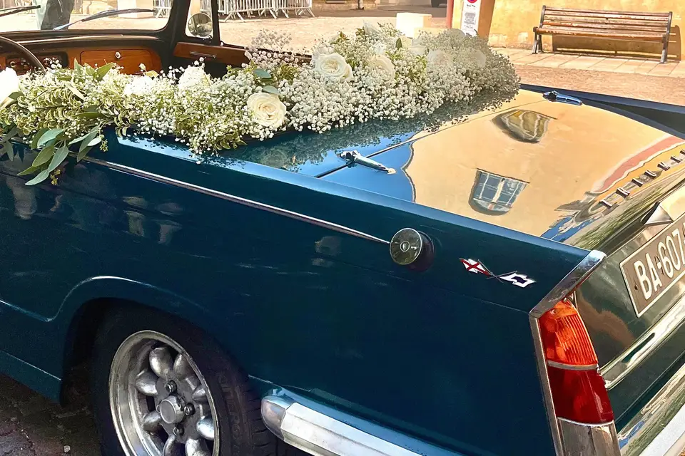 Nice Classic Tours — photo 5