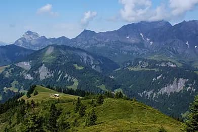 Chez Thérèse — photo 6