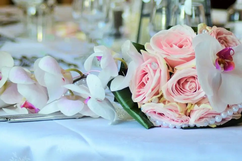 Marions-nous by Isa — photo 3