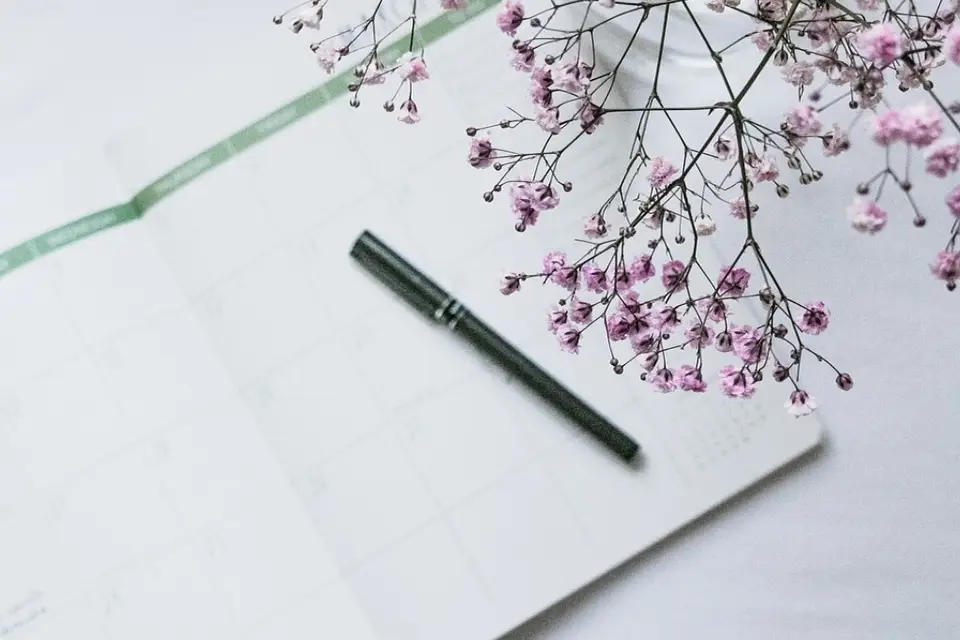 Marions-nous by Isa — photo 8