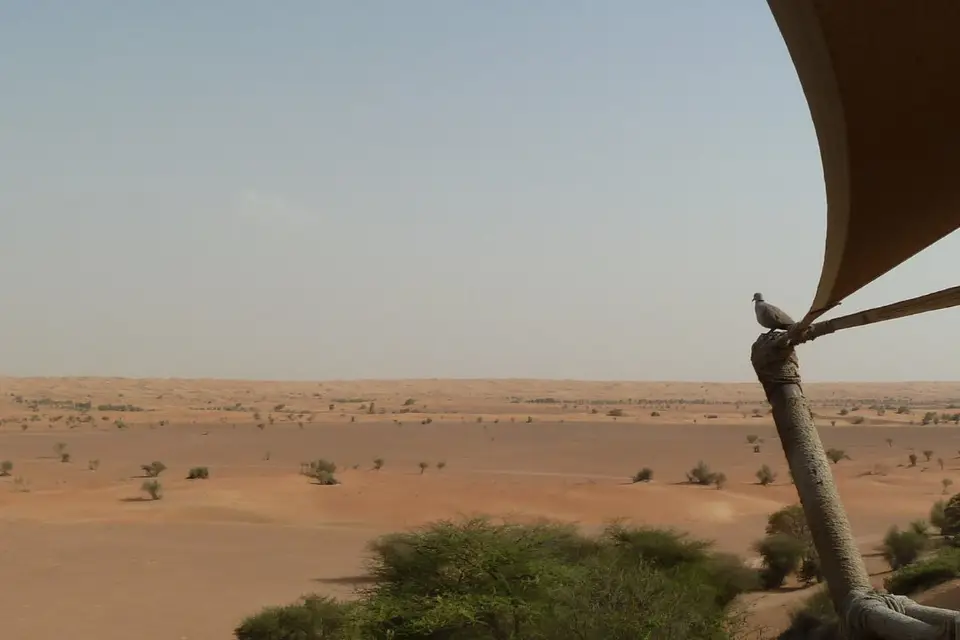 Rêve & Go — photo 4