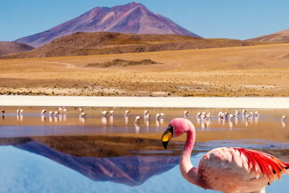 Rêve & Go — photo 6