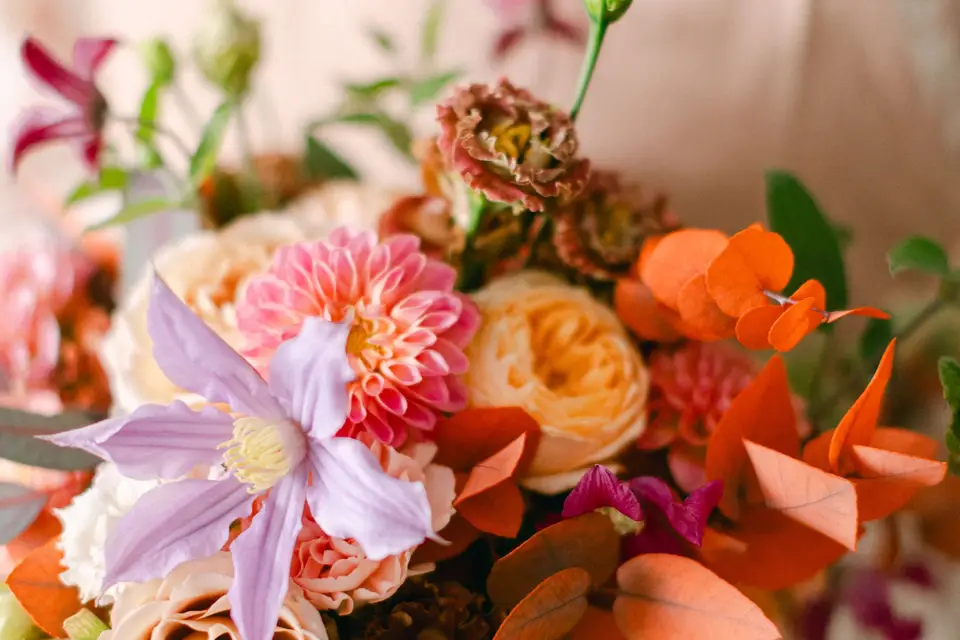 Instants Champêtres — photo 4