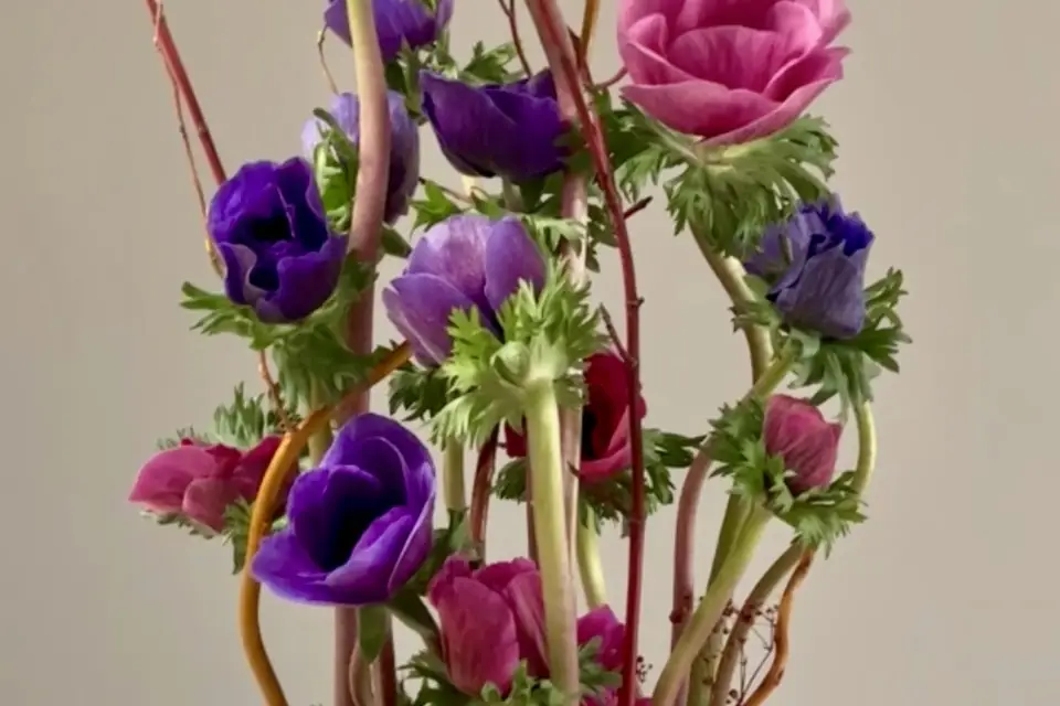 Instants Champêtres — photo 1