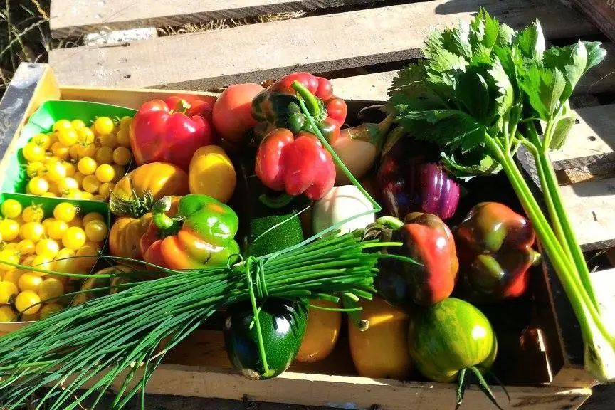 La Gatinerie — photo 8