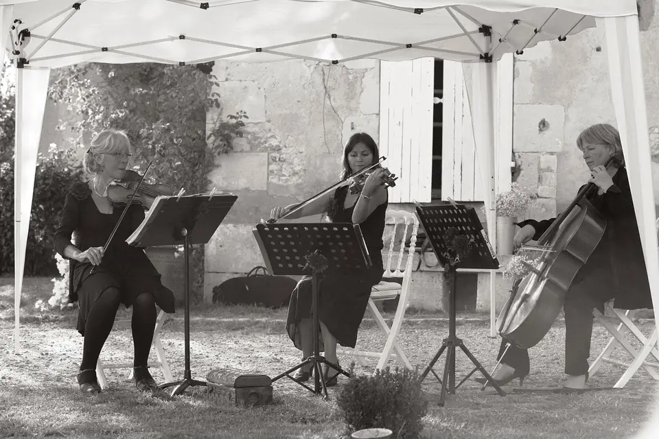 Pachelbel Quatuor — photo 4