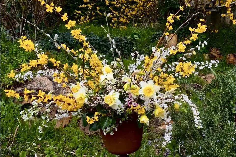 La Perle Noire — photo 1