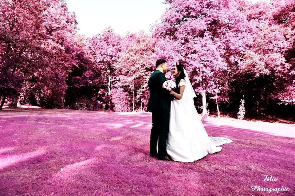 FélioPhotos — photo 8