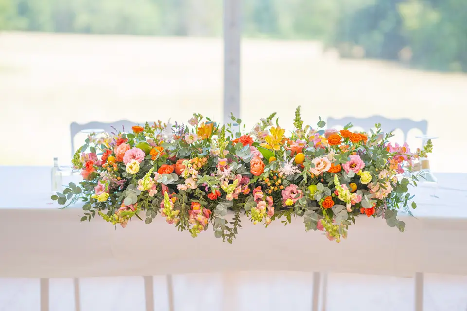 Aline Garnier — photo 4