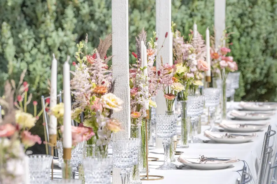 Aline Garnier — photo 7