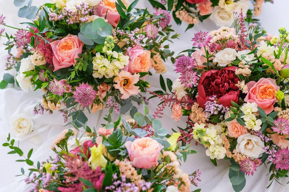 Aline Garnier — photo 2