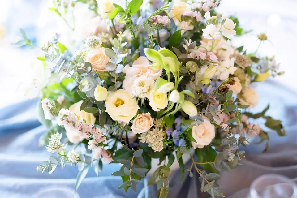 Aline Garnier — photo 6