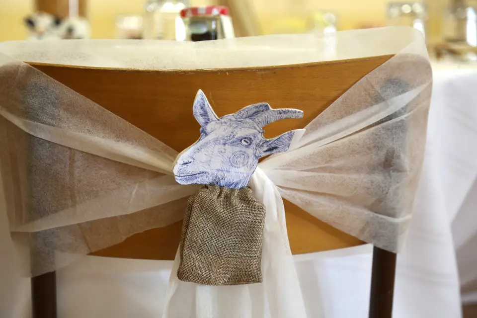 La Dayco D'Elisa — photo 5