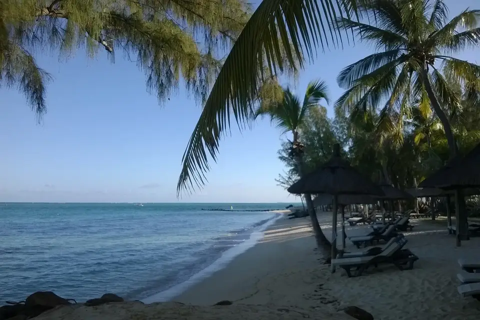 FiTourVoyages — photo 6