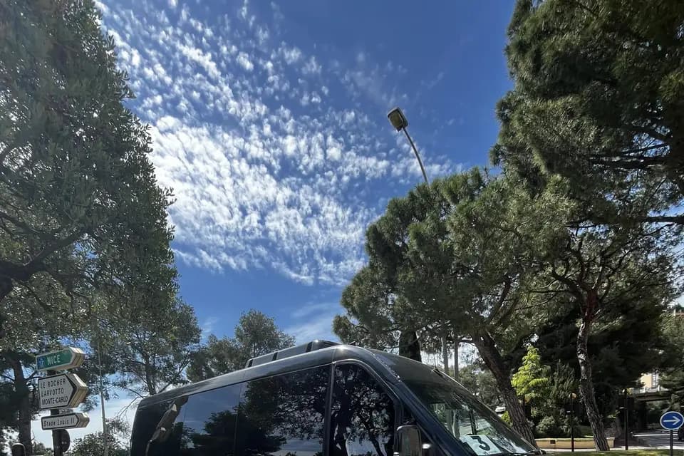 Sh Luxury — photo 5