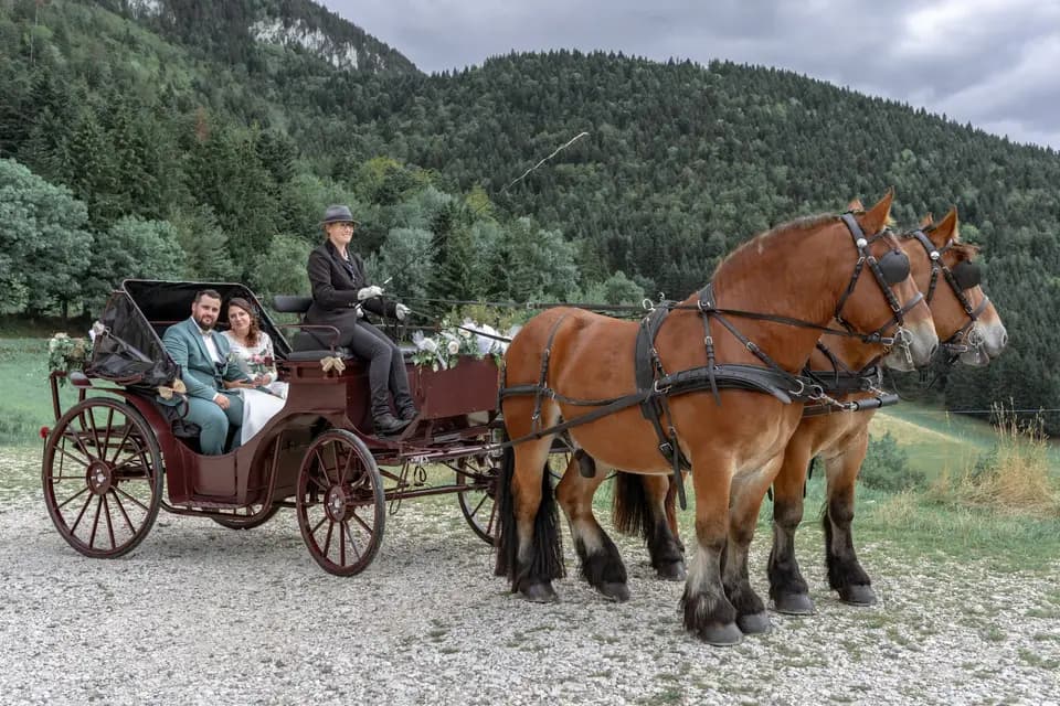 Bocal Prod — photo 3