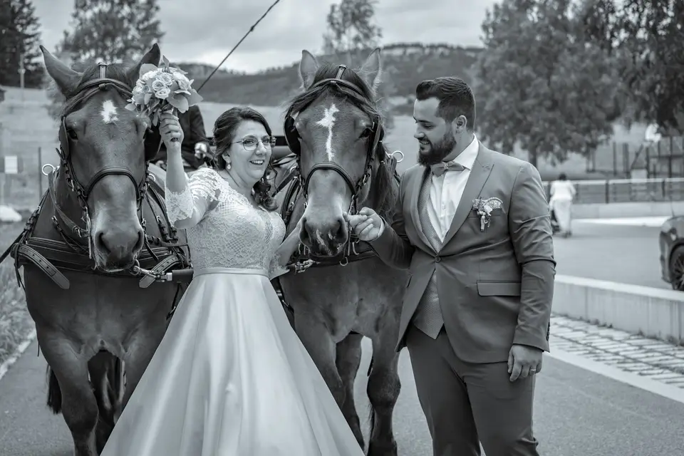 Bocal Prod — photo 7