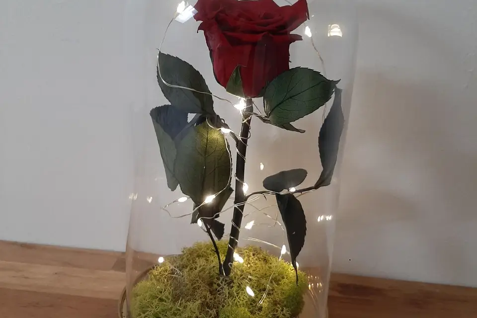 Atelier Pimaa — photo 6