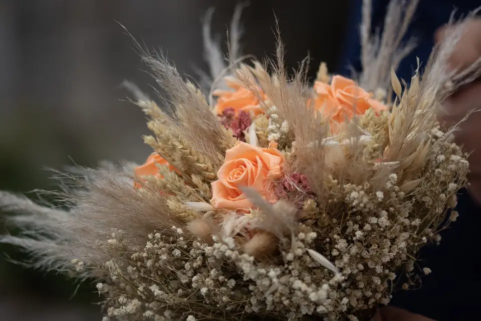 JL Photo — photo 2