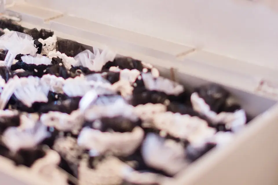 Florine Events — photo 6