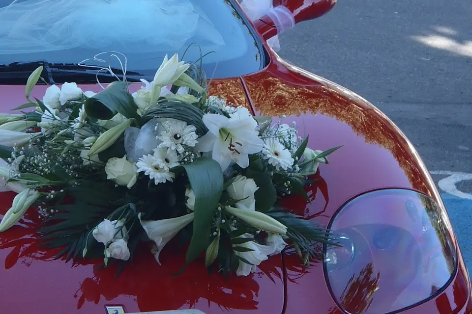 Mon Atelier Bohème — photo 5