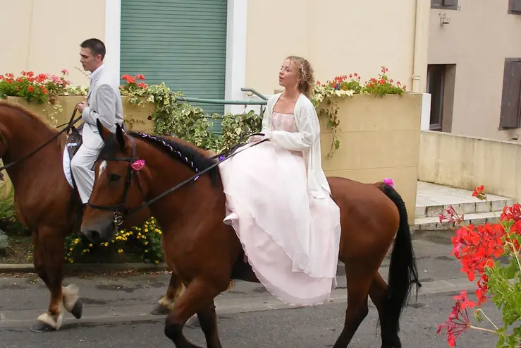 Le Domaine de Benquet — photo 2