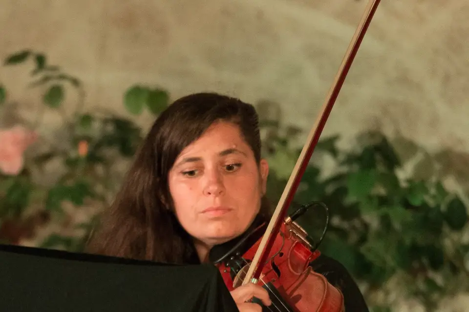 Los Ultramarinos — photo 8