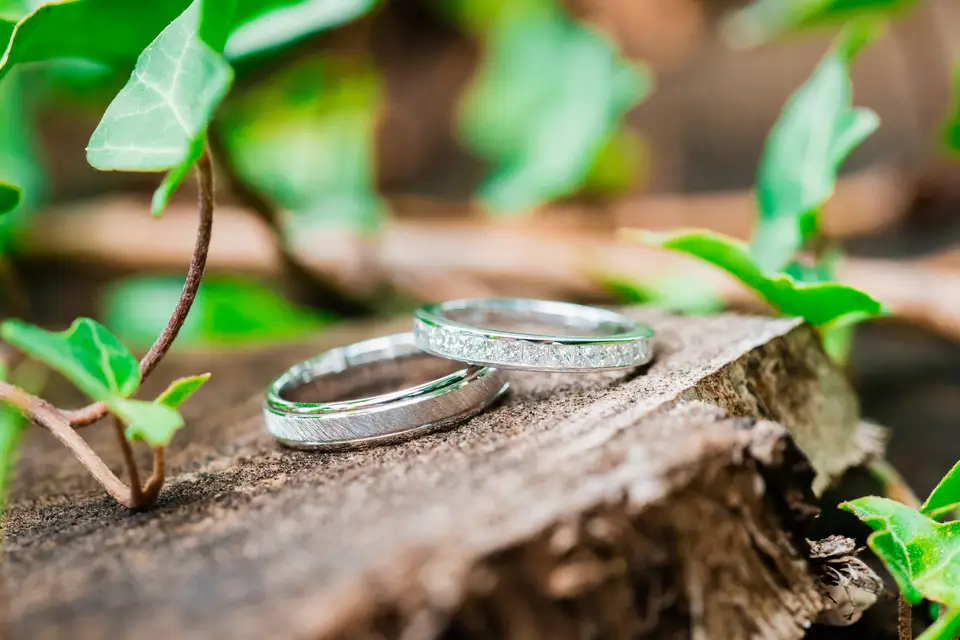 Vincent Tineo — photo 4