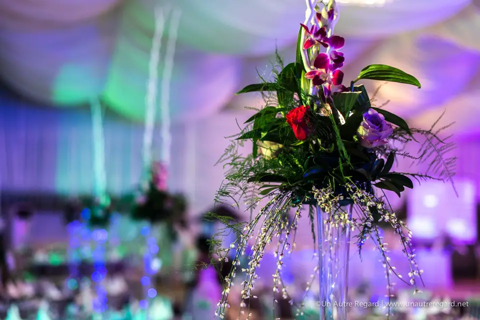 Les Moments Enchantés — photo 1