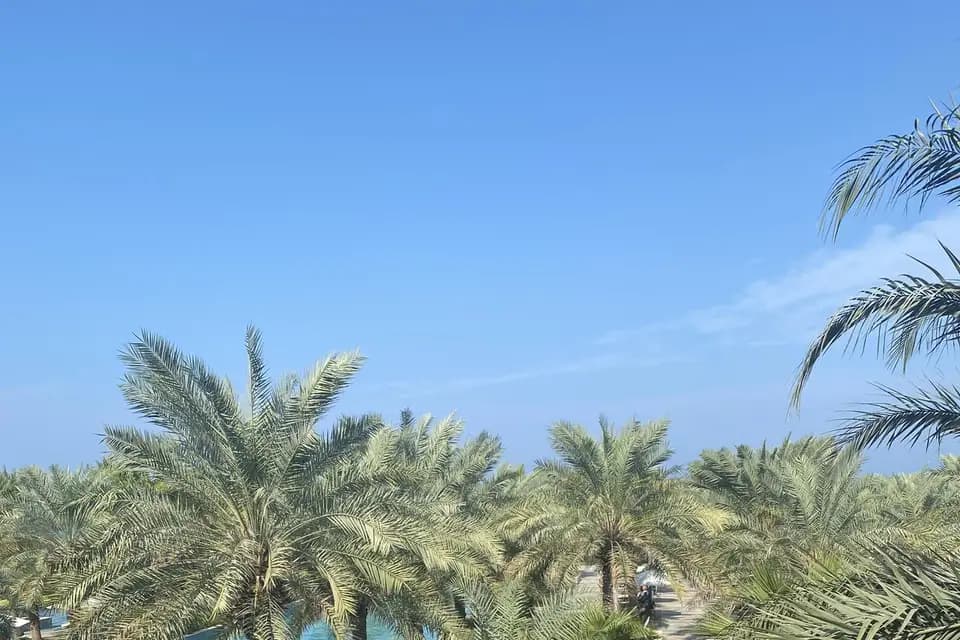 Oh le voyage — photo 7