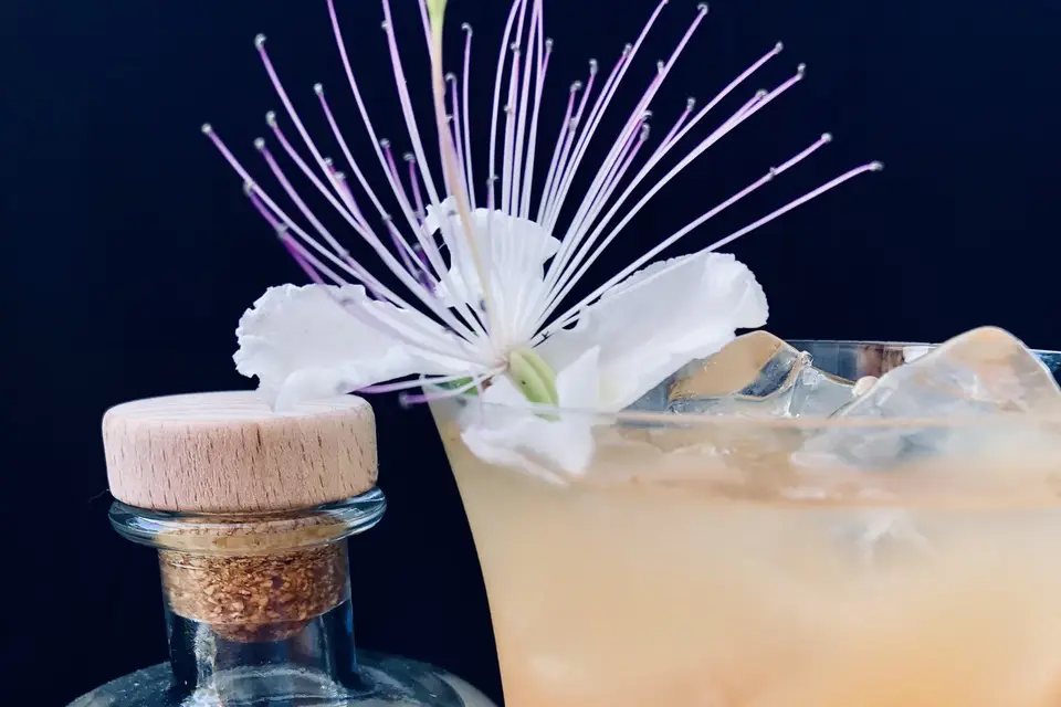 Cheerio - Cocktails at Home — photo 1