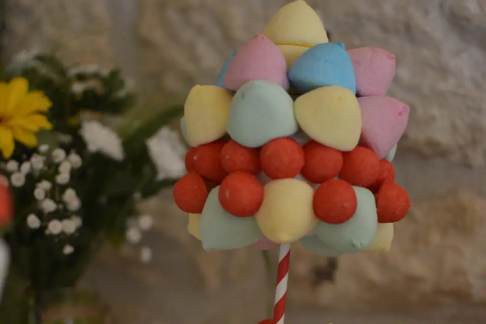 Grenadine et Compagnie — photo 2